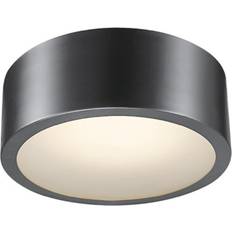 Globe Electric 3000K Ceiling Flush Light