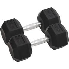 vidaXL Dumbbells 2 pcs 25 kg