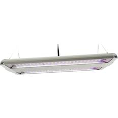 Feit Spectrum High Bay Plantlights 86W