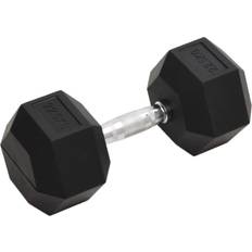 vidaXL Dumbbell 22.5 kg Cast Iron