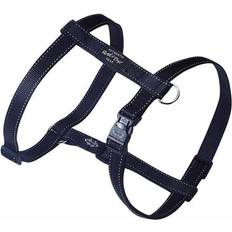 Rogz Reflective Adjustable H Harness Dogs; matching collar