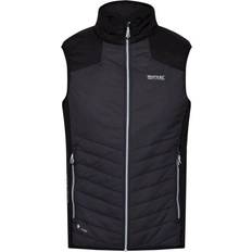 Regatta Mens Halton VI Lightweight Body Warmer (Dark Grey/Black)