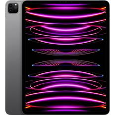 Apple ipad pro 12.9 inch 256gb Apple iPad Pro 6th Gen Cellular 256GB - Space