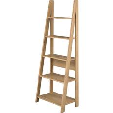 Toddny Ladder Bookcase Step Shelf