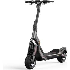 Segway KickScooter GT1D