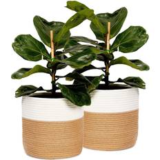 Juvale Juvale 2 Pack Rope Basket Planter