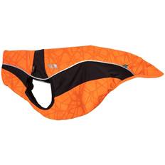 Back On Track Eddie High-Visibility Pullover, 50-55cm Orange