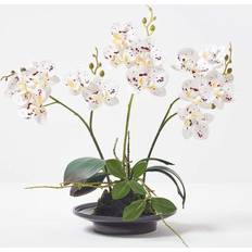 Black Artificial Plants Homescapes 38cm Lifelike White Orchid Artificial Plant