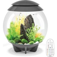 Biorb Halo 30 Aquarium with MCR Light 8 Gallon