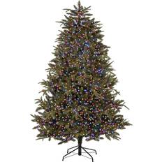 Premier Decorations 3000 Christmas Tree Light