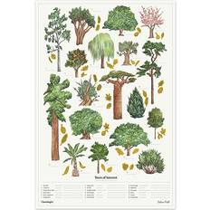 Luckies of London Wall Decorations Luckies of London Trees Of Interest Poster 50x70cm