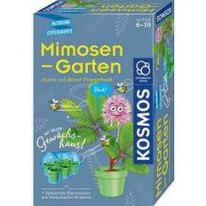 Kosmos Experimentierkasten Mimosen-Garten mehrfarbig