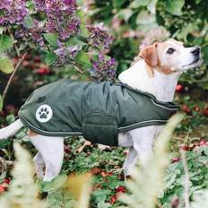 Kentucky Dogwear Hundedecke Dog coat Waterproof 300g Olive Green