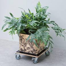 Nature Plant Trolley Square 38x38