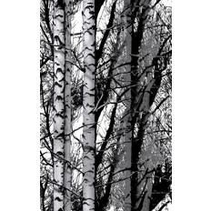 D-C-Fix Wood Trees Woodland Forest Self 45cm Black Adhesive Film