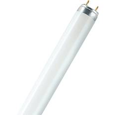 Osram Lumilux L Fluorescent Lamp 36W G13