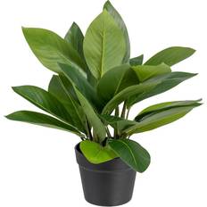 BigBuy Home Dekorativ plante 50