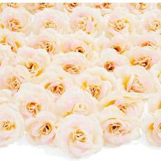 Juvale Bright Creations Artificial Silk Rose Flower Heads Champagne Wall Decor