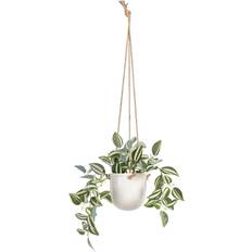 BigBuy Home Dekorativ plante 24 25cm