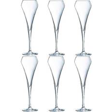 Chef & Sommelier Open Up Champagne Glass 20cl 6pcs