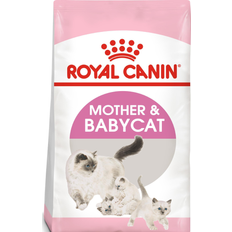 Royal Canin Mother & Babycat 10kg