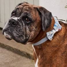 Cath Kidston London People Leather/fabric Printed Pet Collar