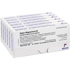 HEPAR MAGNESIUM D 4 Ampullen 48x1 Milliliter