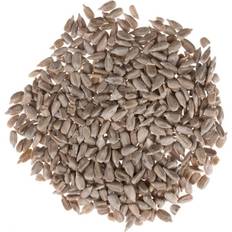 Lillebro Hulled Sunflower Seeds 2x3kg