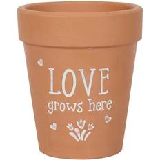 Something Different Love Grows Here Terracotta Plant Pot