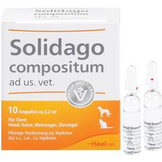 Biologische Heilmittel Heel GmbH SOLIDAGO COMPOSITUM ad us.vet.Ampullen 10