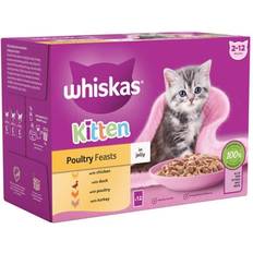 Whiskas Pets Whiskas 85g kitten poultry feasts mixed wet