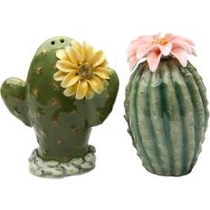 StealStreet SS-CG-20893, 3.13 Cactus Flowers Salt Pepper Shakers Spice Mill