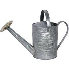 Allen and IronLite Jameson Watering Can, Galvanized