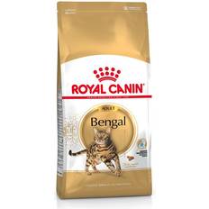 Royal Canin Bengal Adult 2kg