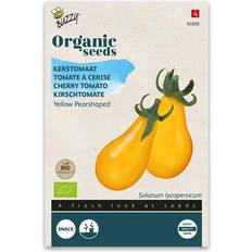 Buzzy Organic tomat gul Pearshaped økologiske frø