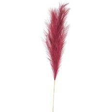 Hill Interiors Scarlet Large Faux Pampas Grass Stem