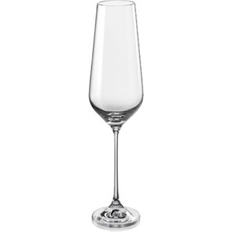 Red Vanilla Sandra All Purpose Wine Glass