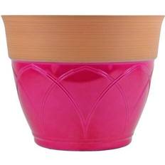 Elements Garden Colored Rim Magenta