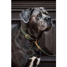 Kentucky Dogwear Hundehalsband geknüpftes Nylon Olivgrün XL 71cm