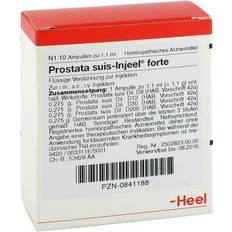 Biologische Heilmittel Heel GmbH Prostata Suis forte Ampullen