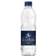 Best Bottled Water Radnor Still Bottled Water 500ml Pack