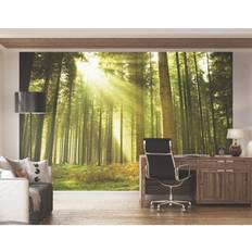 Spruce Forest Wall Mural