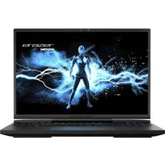 32 GB - GeForce RTX 3080 Laptops Medion ERAZER Beast X40 17.3" 240Hz