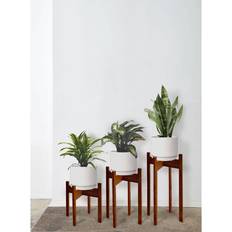 Florny Modern Set of 3 Wood Plant Stand