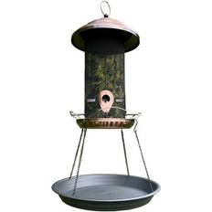 Selections Style Extra Large Hanging Metal Bird Seed Feeder with Seed Catcher Tray