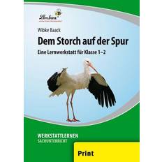 Nein Storch auf der Spur