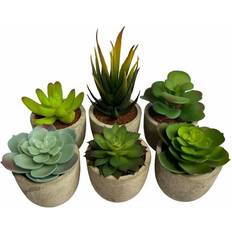 Oypla Set of 6 Artificial Succulent Mini Cactus Grass Plants