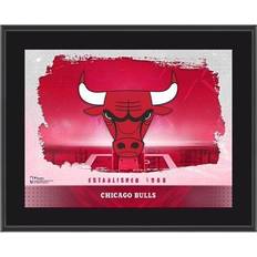 Chicago Bulls x Sublimated Horizontal Team Logo Plaque