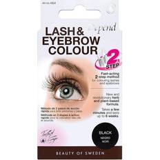 Combination Skin Eyebrow & Eyelash Tints Depend Perfect Eye Lash & Eyebrow Colour #4904 Black