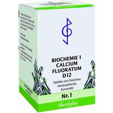 Bombastus-Werke AG Biochemie 1 Calcium fluoratum D 12 Tabletten 500